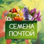 Озеры семена почтой а я 15 Озеры семена почтой а я 15