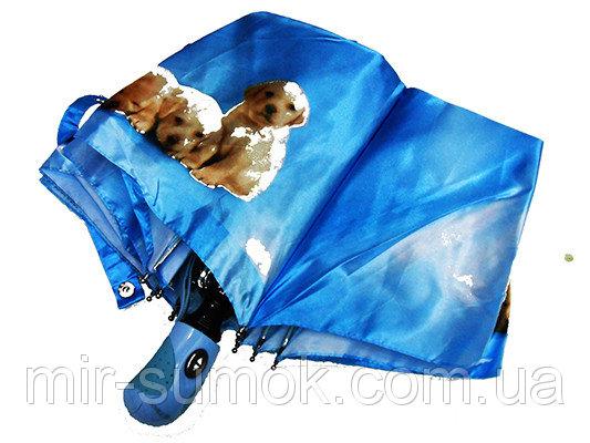 Фото Зонты Женский зонт Snelter автомат Артикул 481-212 голубой