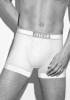 Трусы мужские SLIPY GATTA BOXER COTTON_conf Слипы Мужское нижнее белье Польша