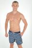 Полосатые пляжные шорты David Man D7 6950 48(M) Синий-Белый
