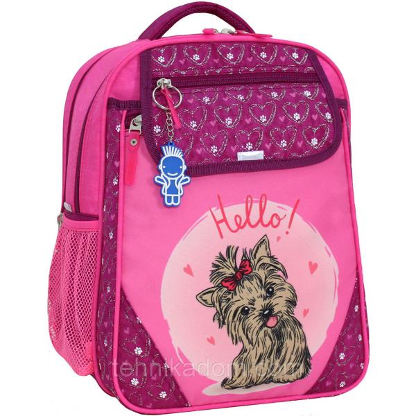 Украина Рюкзак школьный Bagland Отличник 20 л. 143 малиновый 167к (0058070)