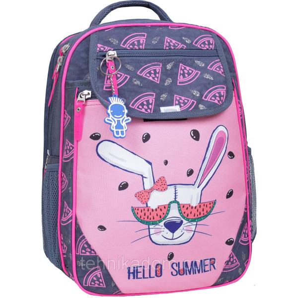 Украина Рюкзак школьный Bagland Отличник 20 л. 321 серый 204к (0058070)