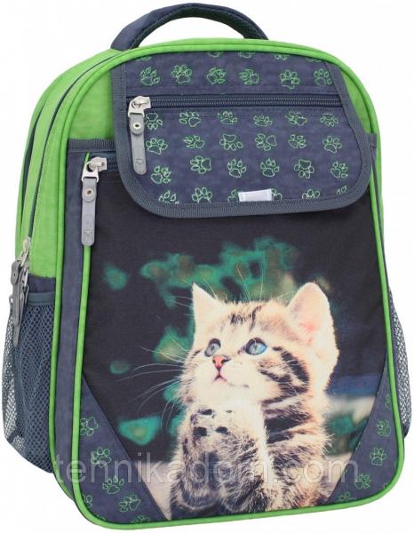 Украина Рюкзак школьный Bagland Отличник 20 л. 321 сірий 21 д (0058070)