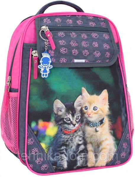 Украина Рюкзак школьный Bagland Отличник 20 л. 321 сiрий 143 д (0058070)