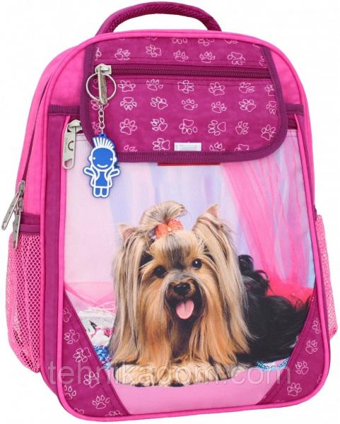 Украина Рюкзак школьный Bagland Отличник 20 л. малина (собака 18) (0058070)