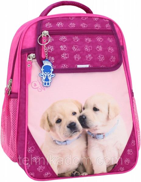 Украина Рюкзак школьный Bagland Отличник 20 л. 143 малина 118 д (0058070)