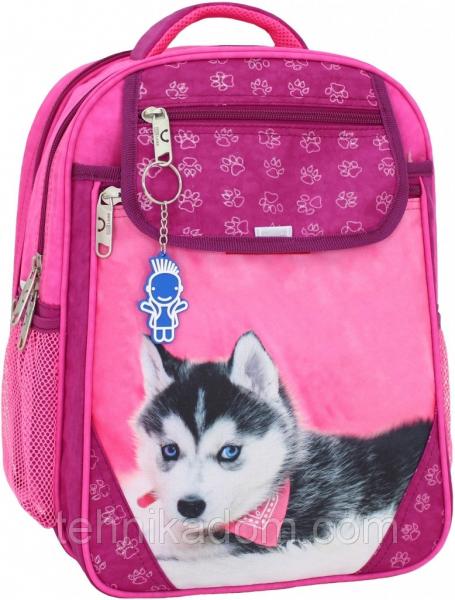 Украина Рюкзак школьный Bagland Отличник 20 л. 143 малина 141 д (0058070)