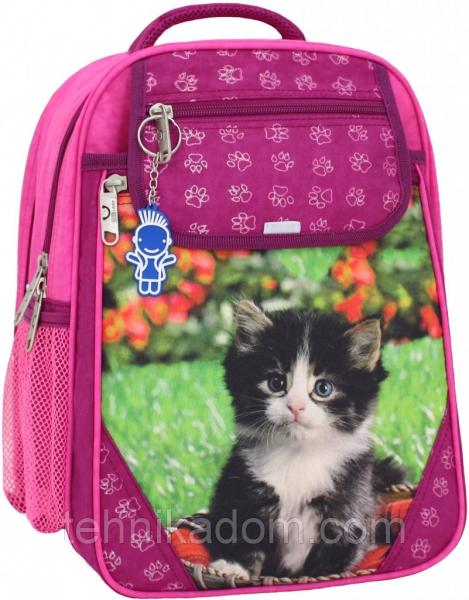 Украина Рюкзак школьный Bagland Отличник 20 л. 143 малина 59 д (0058070)