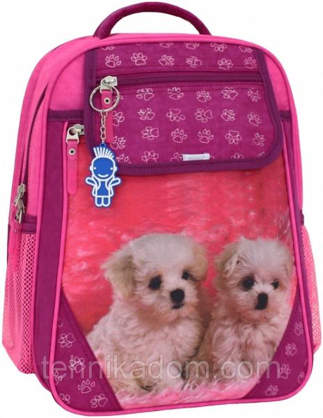 Украина Рюкзак школьный Bagland Отличник 20 л. Малиновый 137д (0058070)