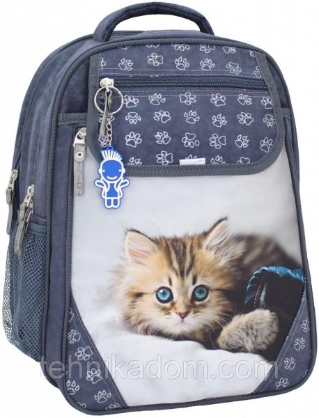 Украина Рюкзак школьный Bagland Отличник 20 л. Серый (котенок светлый) (0058070)