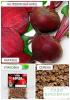 Свекла 'Бордо' (Зипер) ТМ 'Весна' 8г