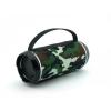 Портативная акустика - Портативная bluetooth колонка влагостойкая T&G 116 Камуфляж