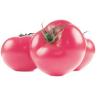 Каратос томат розовый 500 сем. компании Глобал сидз