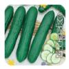 Семена огурца Зозуля F1 250 семян компании Nasko