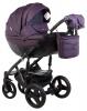 Детская универсальная коляска 2 в 1 Adamex Monte Deluxe Carbon 51S-CZ