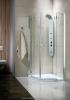 Душевая кабина Radaway EOS Fuenta PDD E 100х80х195 без поддона 381006-01N