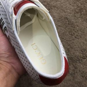 Фото Обувь Gucci Falacer Sneaker Golden Stars White