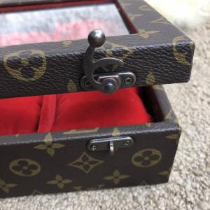 Фото Сумки Louis Vuitton 6 Watch Case Monogram