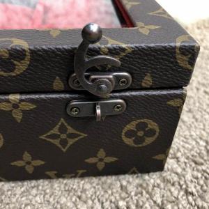 Фото Сумки Louis Vuitton 6 Watch Case Monogram