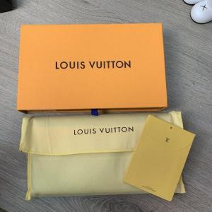 Фото Сумки Органайзер Louis Vuitton Zippy Damier Graphite