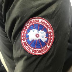 Фото Одежда Canada Goose Carson Parka Military Green