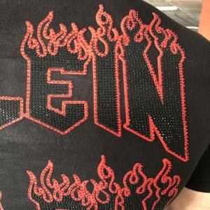 Фото Одежда Philipp Plein T-Shirt Fast and Glorious Black/Red