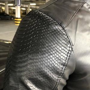 Фото Одежда Jacket Philipp Plein Moto Original Black