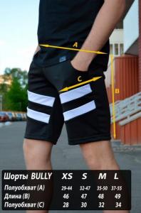 Фото Одежда Шорты Light cloud - Bully бордо