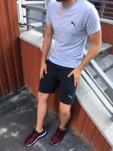 Фото Одежда Летний спортивный комплект(шорты и футболка) Puma Gray/LightGray