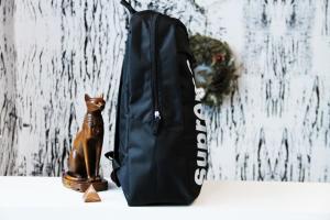 Фото Сумки Рюкзак Supreme watermelon black