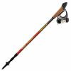 Палки для скандинавской ходьбы Vipole Trail Carbon Click-In