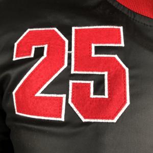 Фото Одежда Gucci Jacket Bomber Tiger 25 Black