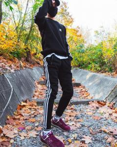 Фото Одежда Теплый свитшот Adidas Badge черный
