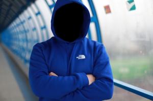 Фото Одежда Толстовка утепленная The North Face синяя