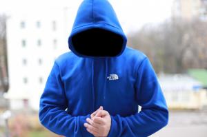 Фото Одежда Толстовка утепленная The North Face синяя