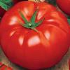 Томат "Украинский гигант" 30шт