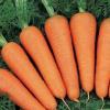 Морковь "Абако"
