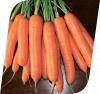 Карболи Ф1 200 000 сем. морковь Семенис
