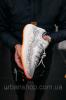 Взуття Adidas 350 v3 Grey Кроссовки, кеды мужские в Украине