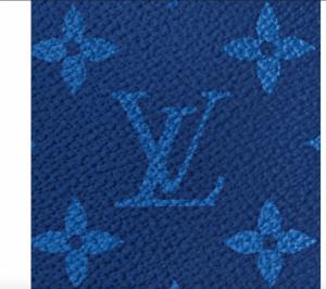Фото Сумки Бумажник Louis Vuitton Brazza Cobalt Monogram Pacific