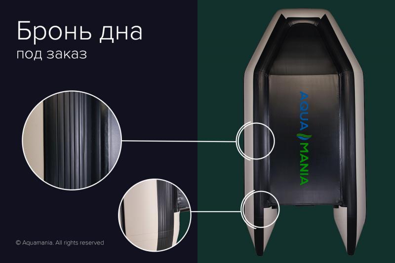 Фото Лодки ПВХ Двухместная плоскодонная моторная лодка AQUA MANIA AM-310