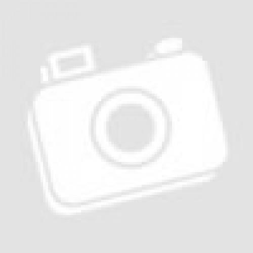 Фото Палатки и Тенты Палатка Forrest Amazon 6 ти местная