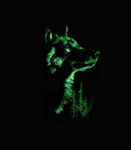 Фото Одежда Футболка Wolf forest ​​light black
