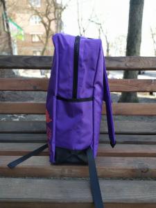 Фото Сумки Рюкзак JORDAN AIR Purple