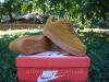 Кросівки Nike Air Force Brown Suede Low 40-45 розміри.
