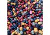 Start Pellets MIX 4-6мм холодная вода 2кг.