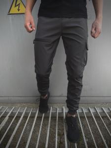 Фото  Штаны Intruder Flash light серые