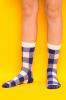 SOX Tartan Blue Beige