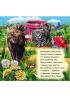  Мои пушистые крохи : Мои милые зверушки (у) 353004 Детские книги, раскраски, прописи в Украине