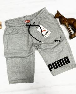 Фото Одежда Шорты Puma summer gray